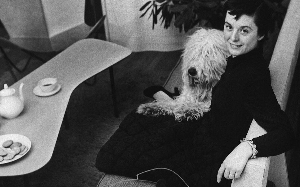 florence knoll